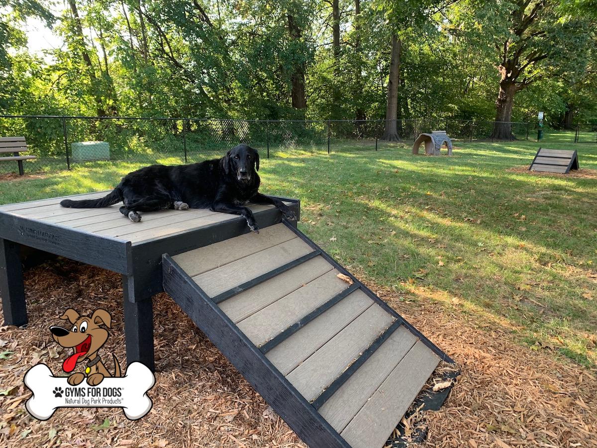 gyms for dogs dog park products25
