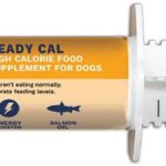 Dog Nutrition Supplement Under The Weather